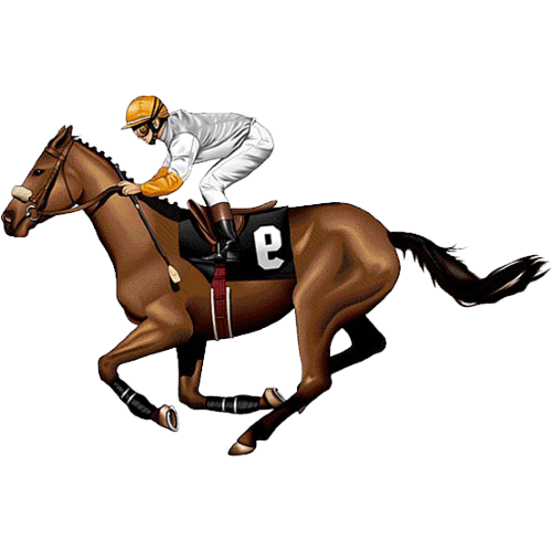 HORSE RACING